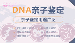 娄底第一人民医院DNA鉴定预约,娄底专业血缘检测医院地址在哪 娄底第一人民医院DNA鉴定预约,娄底专业血缘检测医院地址在哪