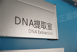 娄底怀孕亲子鉴定机构出结果时间,娄底怀孕亲子鉴定条件和流程 娄底怀孕亲子鉴定机构出结果时间,娄底怀孕亲子鉴定条件和流程